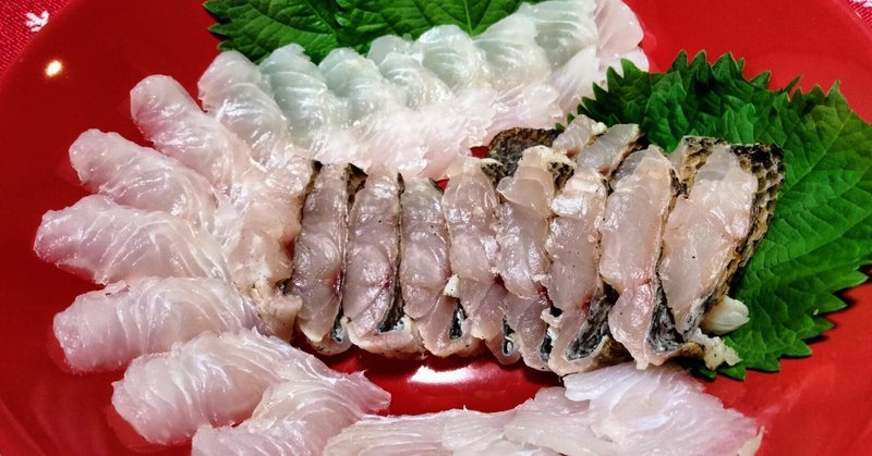 昆虫写真 の新着タグ記事一覧 Note つくる つながる とどける