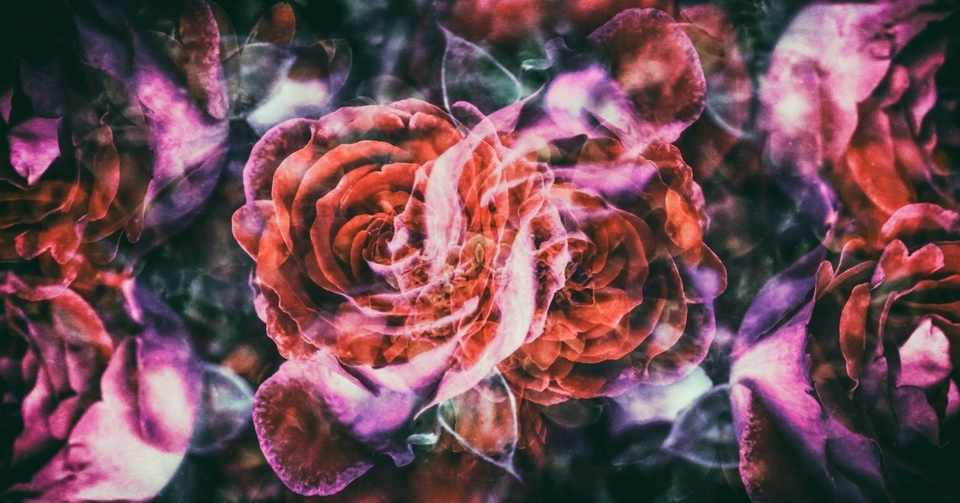 子宮で恋をしたことがあるか 2 心の獣編 える Note