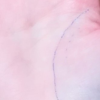 なるたる と呪い 筒 Note なるたる と呪い 筒 Note