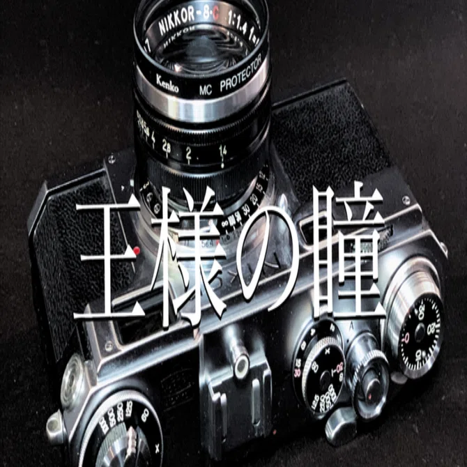 み*マ様 フィルムカメラ レンズ 等 お纏め 王様の瞳 〜魅惑のフィルムカメラ〜｜Laskeypictures