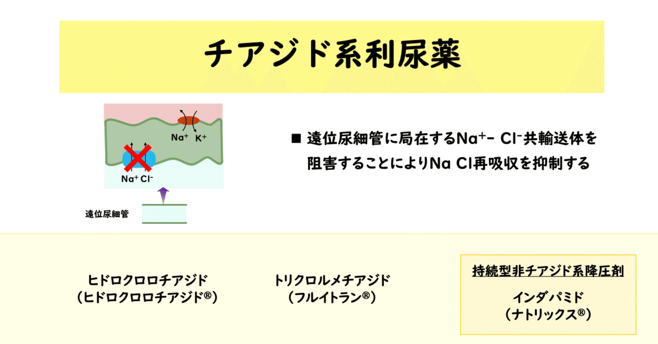 利尿薬(チアジド系利尿薬)｜薬の勉強中薬剤師2