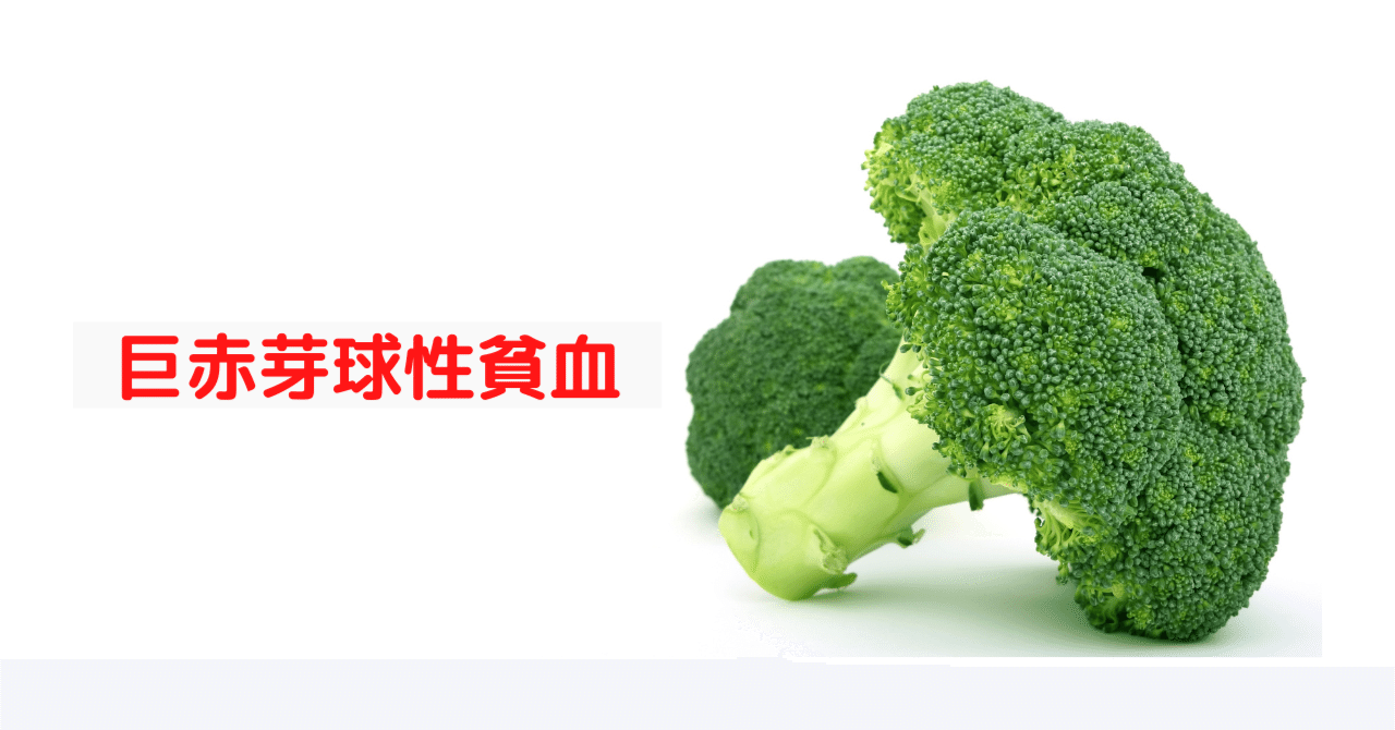 巨赤芽球性貧血|福富かれん