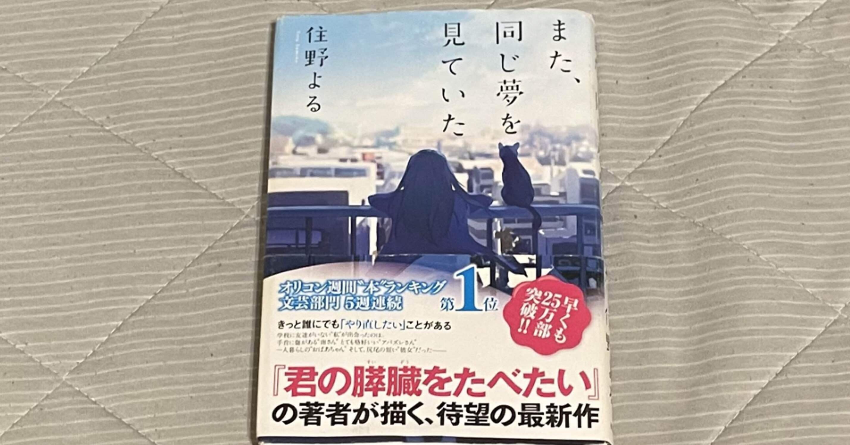 あなたにとっての幸せとは何ですか？/11冊目 住野よる 『また、同じ夢