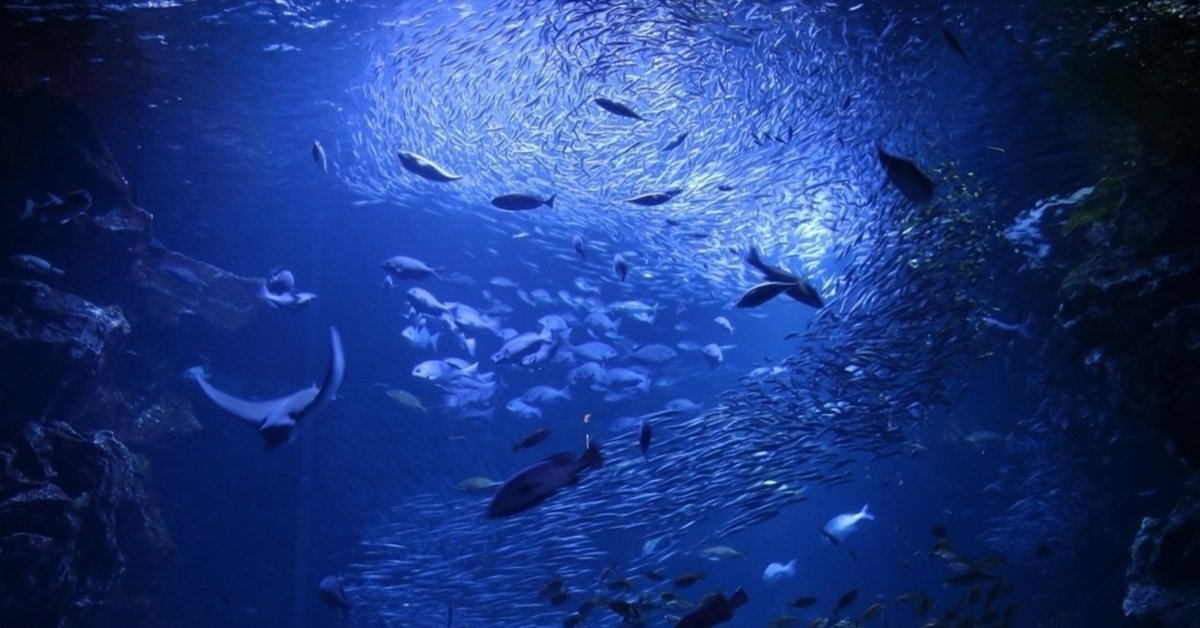 52Hzのクジラ】 海に響く、孤独と希望の音を辿って #妄想ショート  