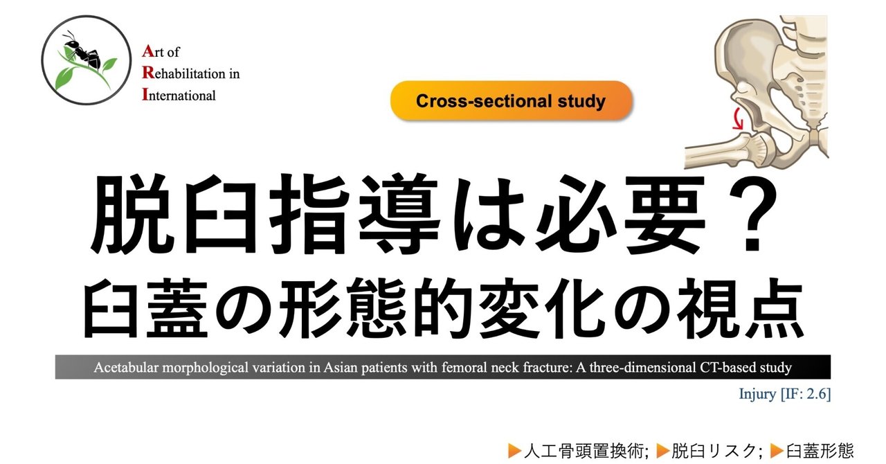 脱臼指導は必要？臼蓋の形態的変化の視点｜Super Human | 理学