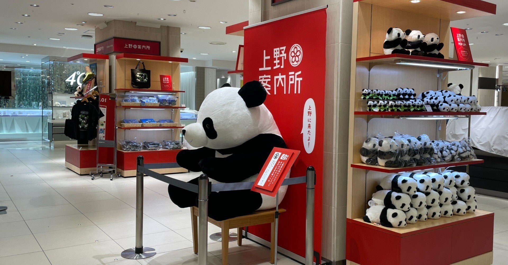 ae6d85aa6fa342019cf830175cf0e9