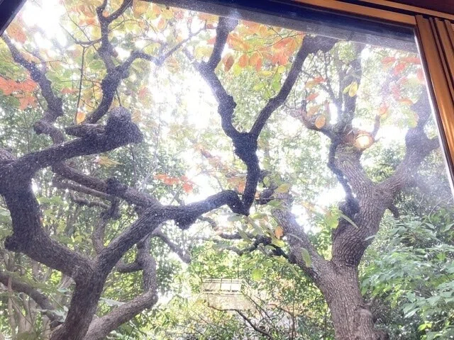 画像7