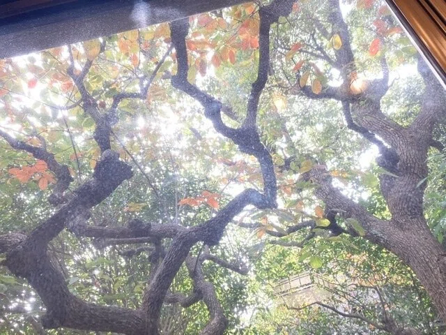 画像8