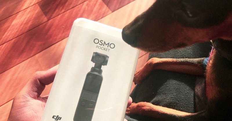 Osmo Pocket隙間レビューがつがつアップ中 いいぞこれ が ダメなとこもいっぱい けど 結局は好き デメリットの多いdji Osmo Pocketレビュー Koukichi T Sns速報 ストックフォトグラファー Note