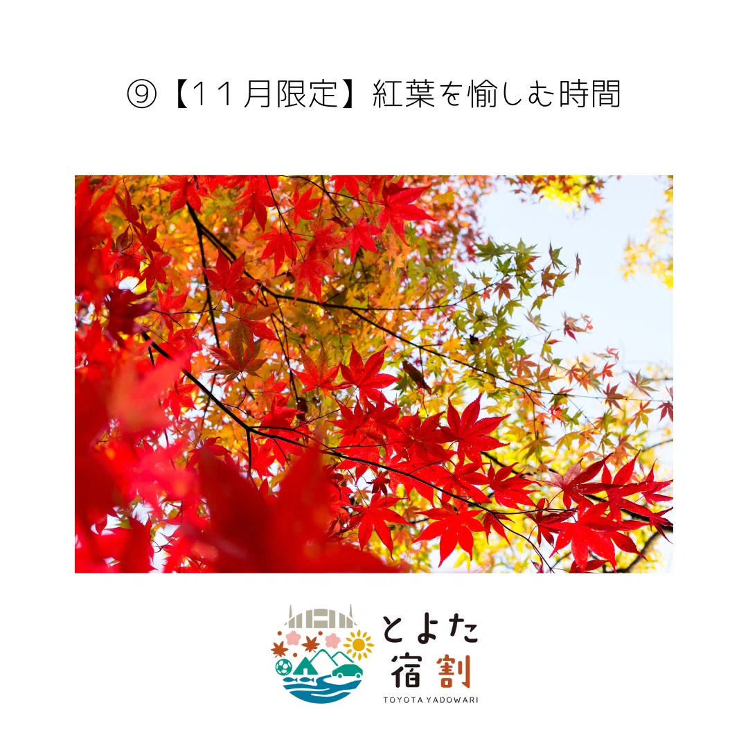 終了しました】とよた宿割キャンペーンはじまります|いぬかいしおり 終了しました】とよた宿割キャンペーンはじまります|いぬかいしおり