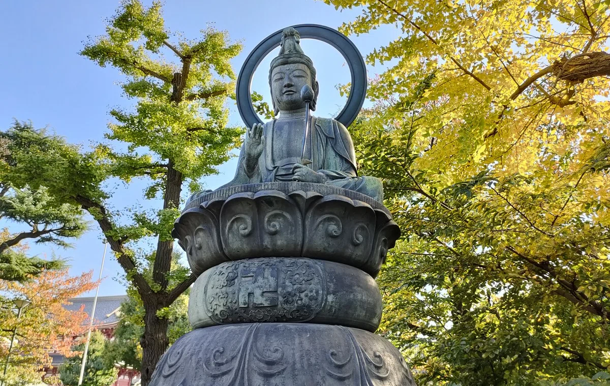 画像7
