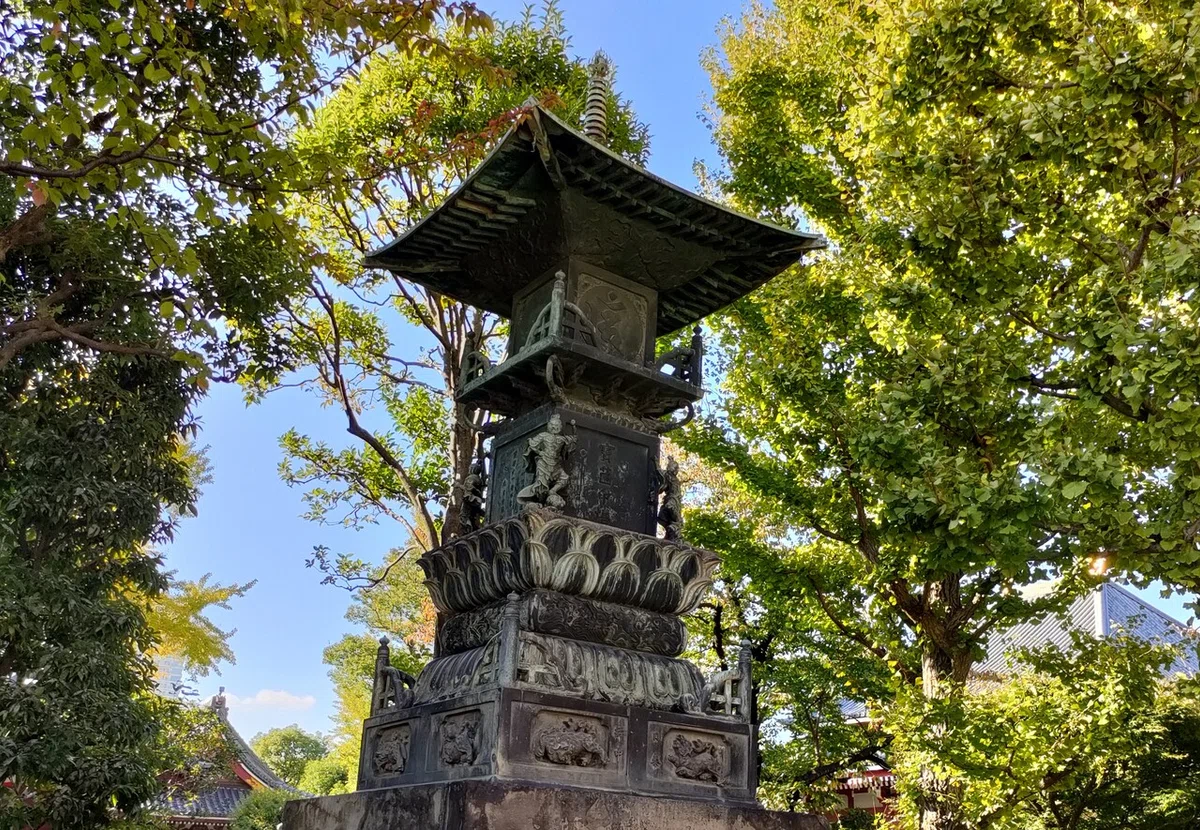 画像8