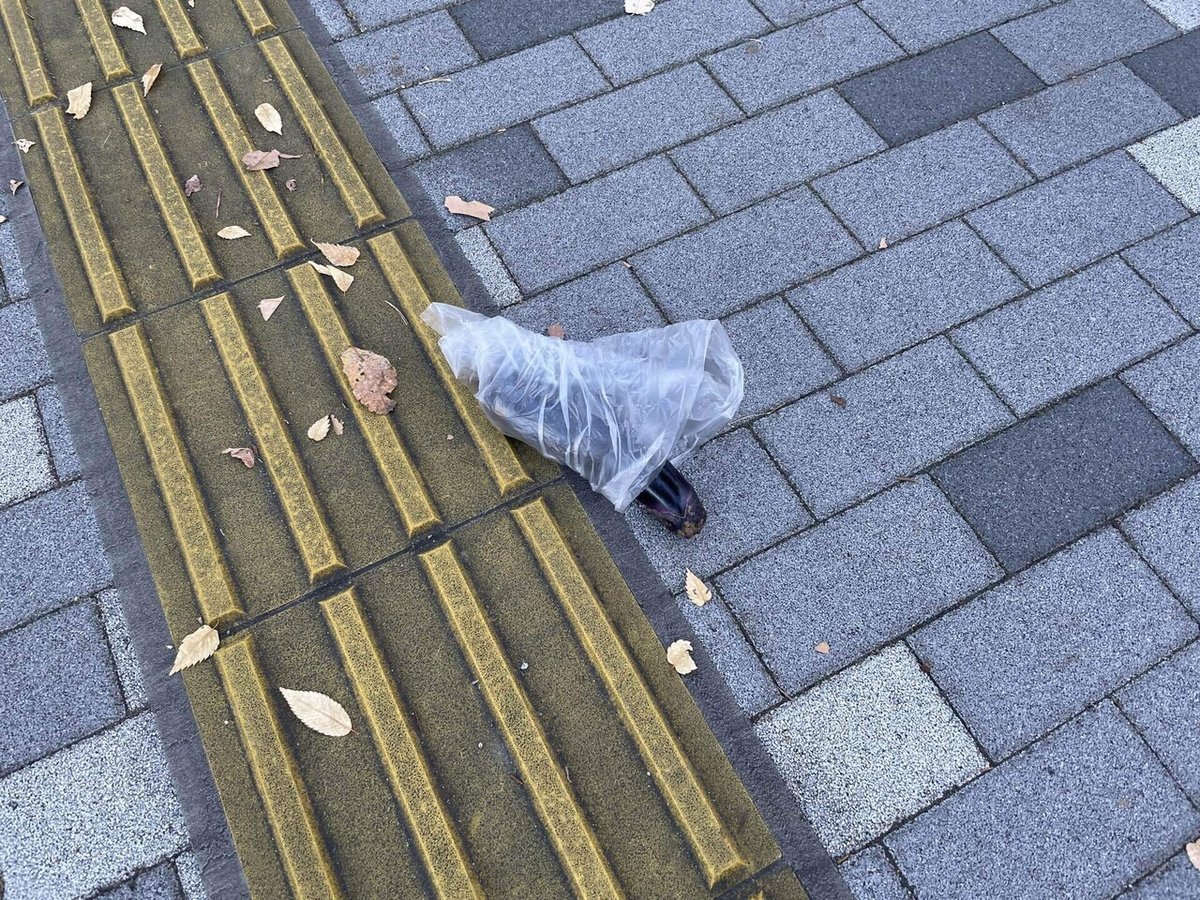 2022年10月28日 秋茄子は道に落とすな｜鬼谷 