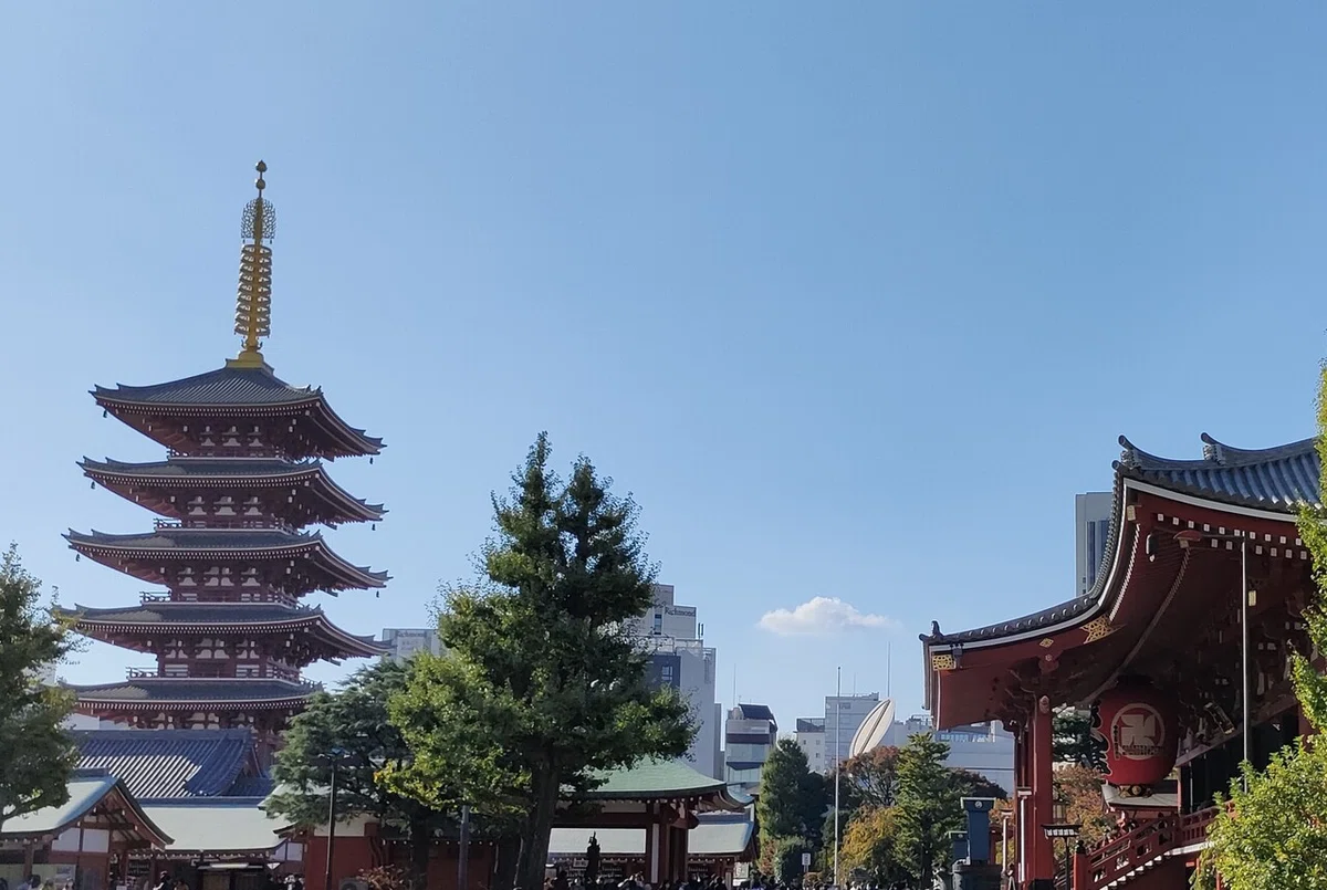 画像14