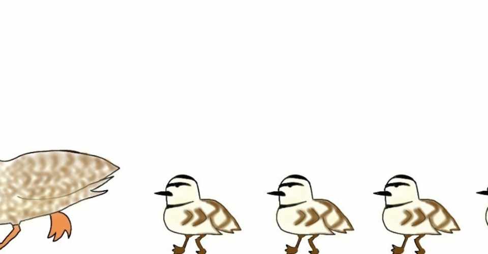 年の最高 カルガモ 親子 イラスト