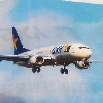 スカイマークの自社養成パイロット採用試験を受けた思い出 Dreamer737 Note