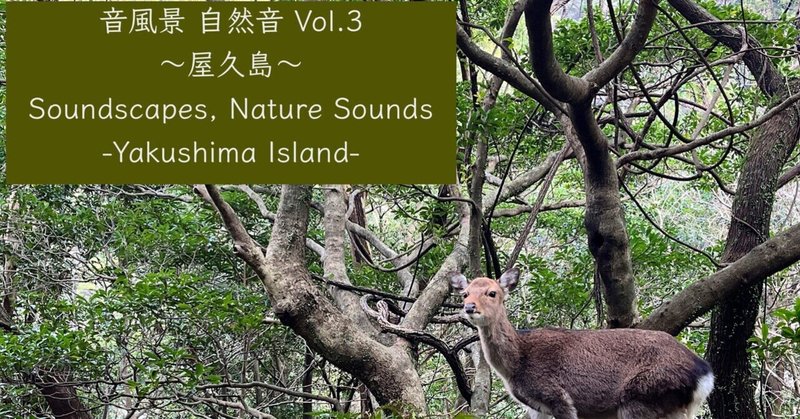 【リリース情報】音風景 自然音 Vol.3 ～屋久島～