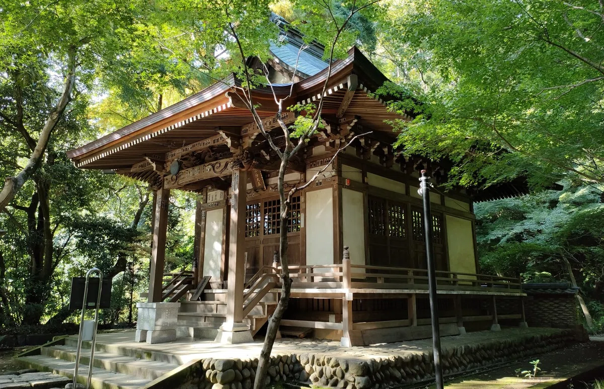 画像1