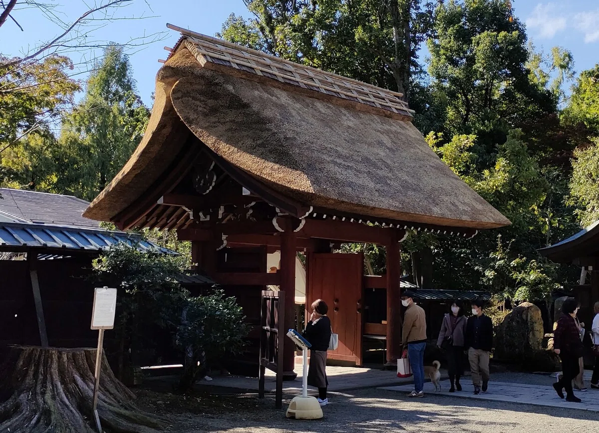 画像5