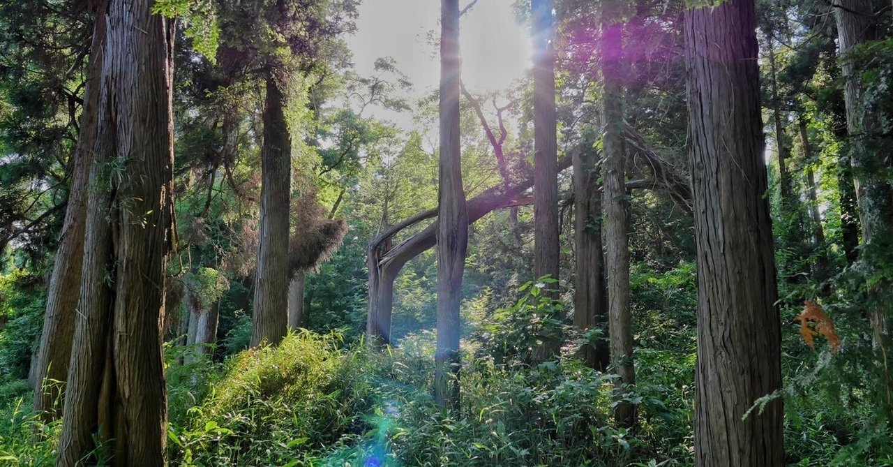 背景、代表作