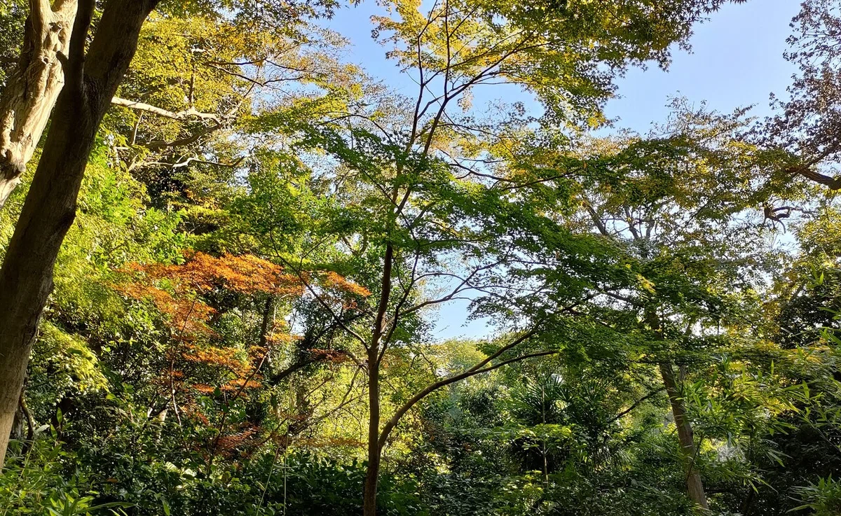 画像9