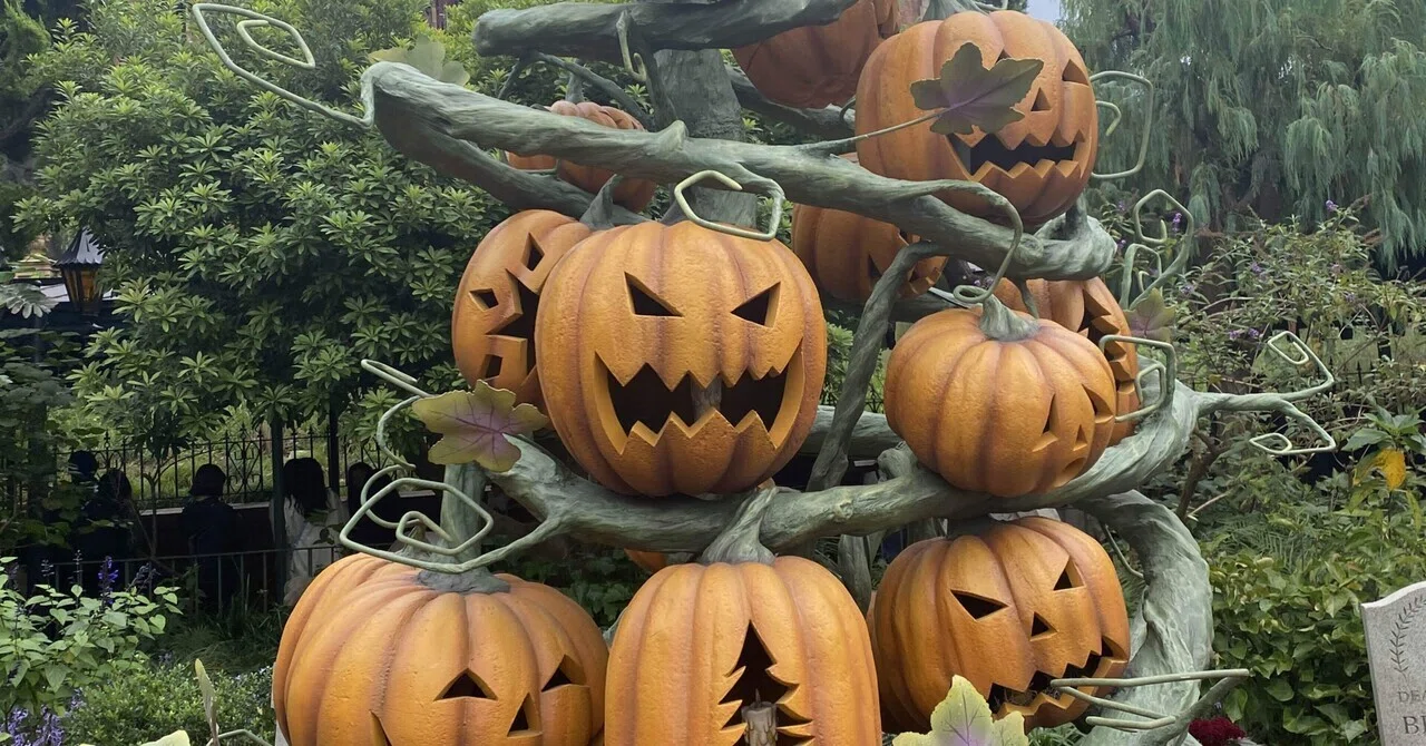 HAPPY HALLOWEEN〜🎃｜ばくの子(Bakunoko)
