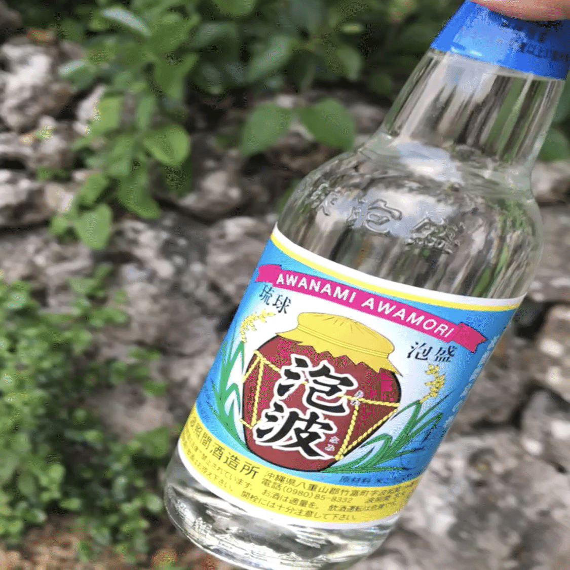 一人旅】波照間島へ2泊3日⑥幻の泡盛「泡波」と帰路｜tama