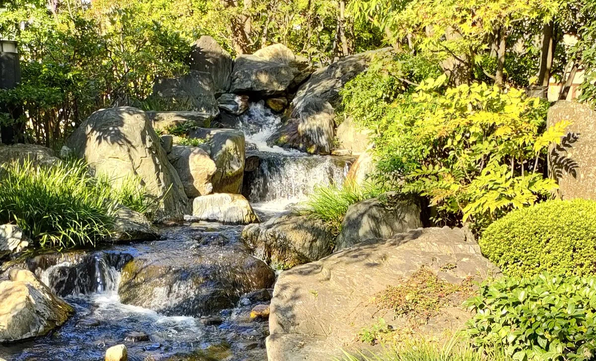 画像18