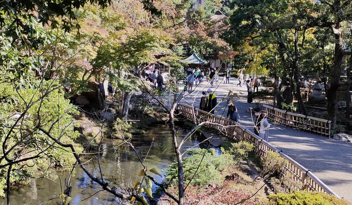 画像10
