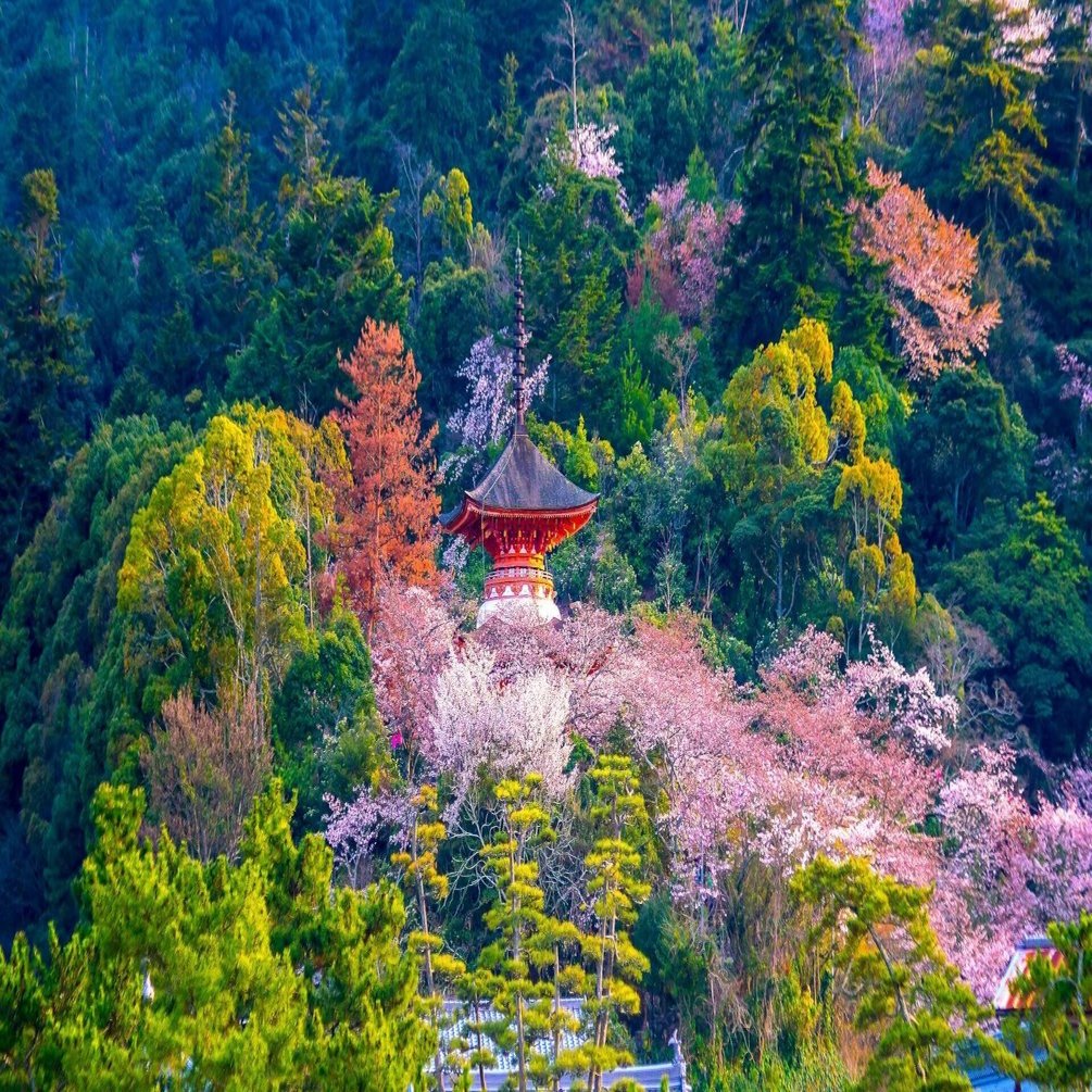 日本の美しい自然｜WorldVoyage | Travel & Culture Magazine