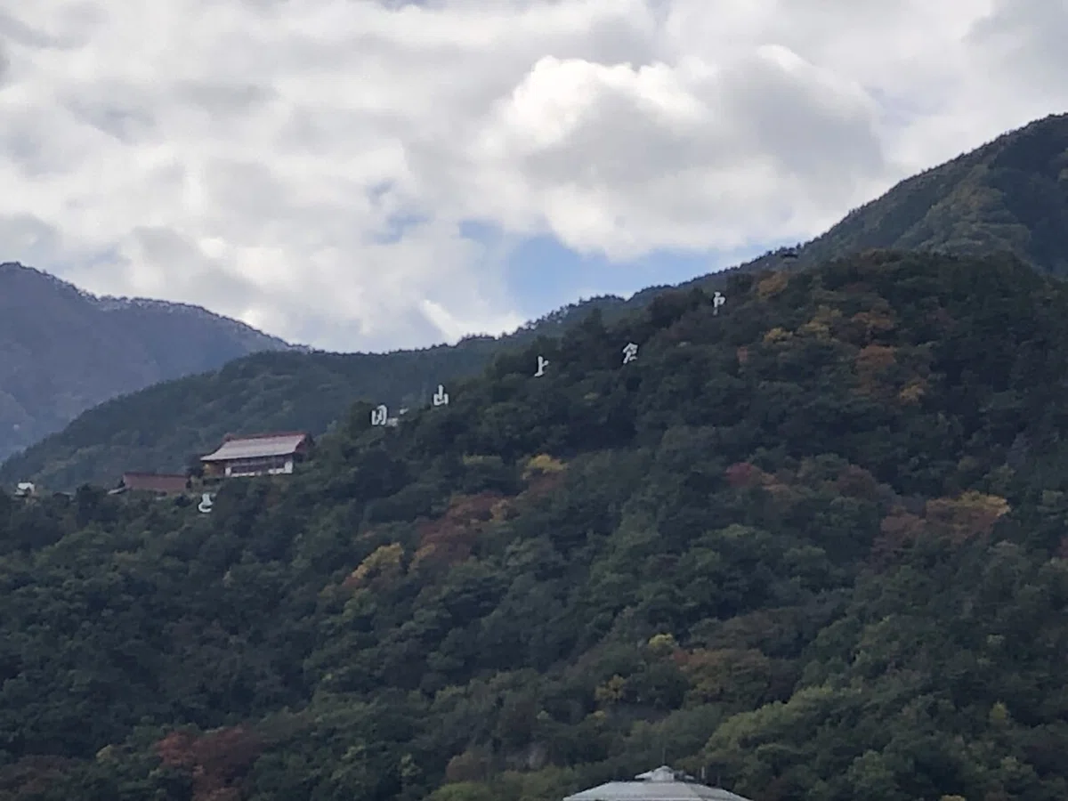 画像8