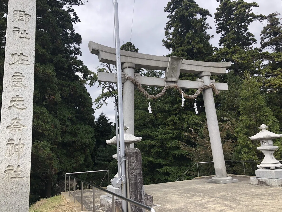 画像9
