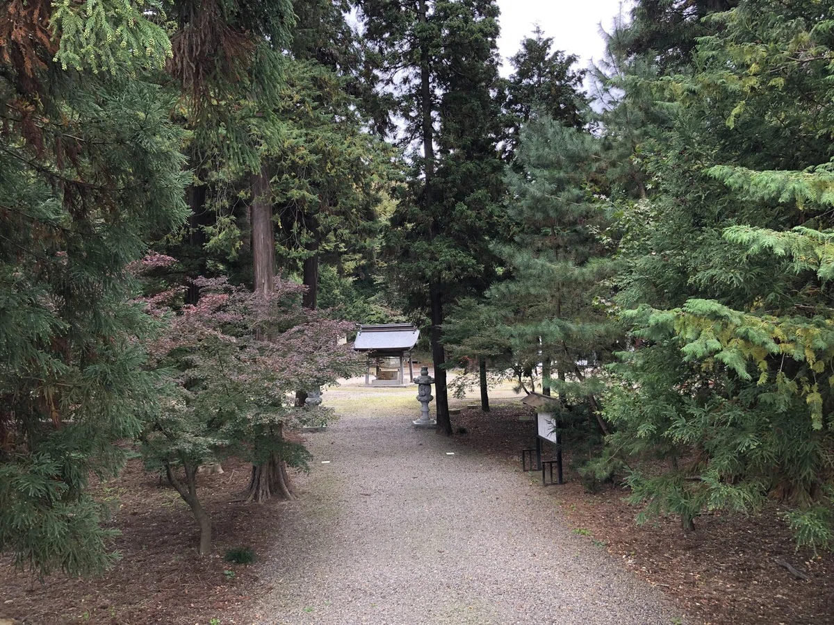 画像8