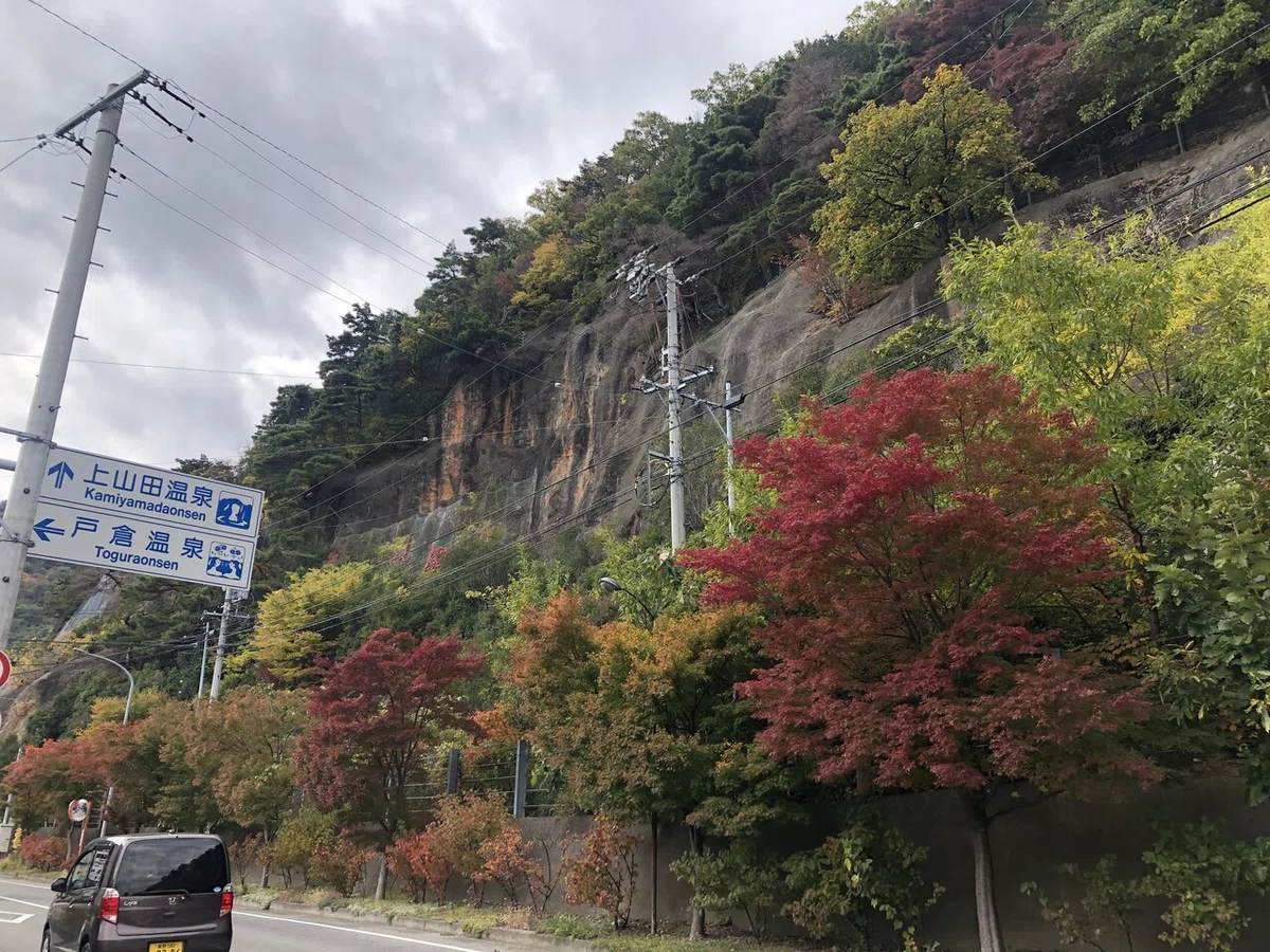 画像9
