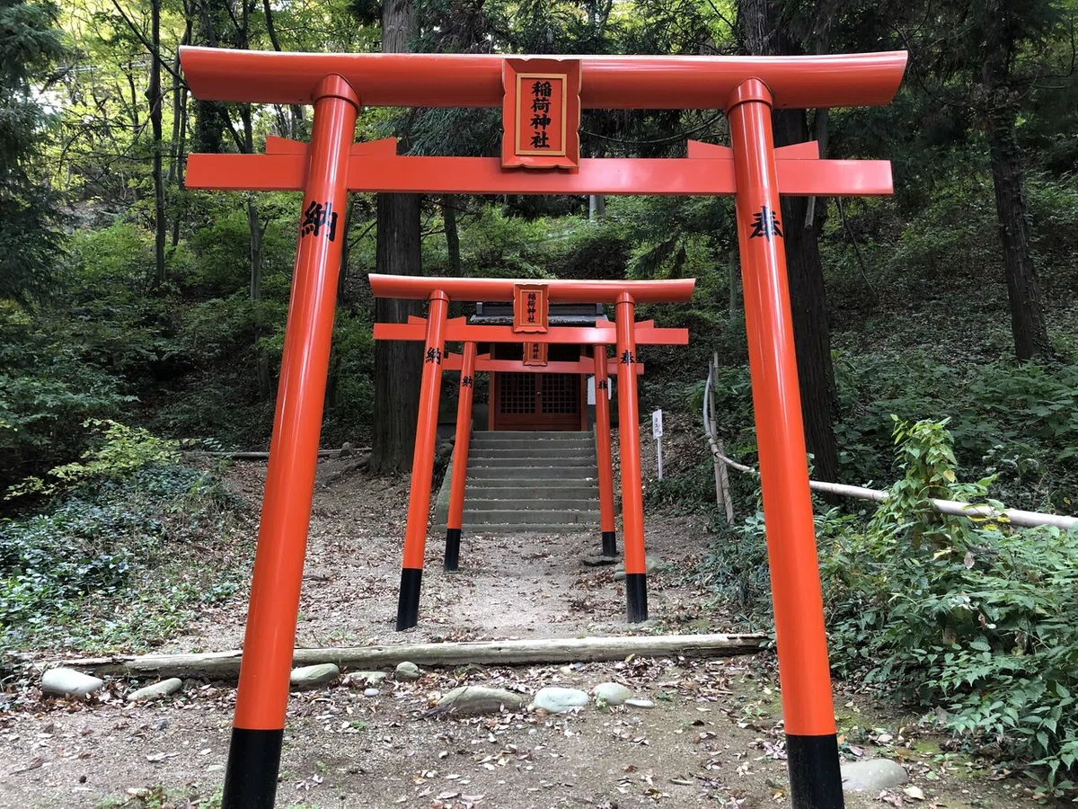 画像11