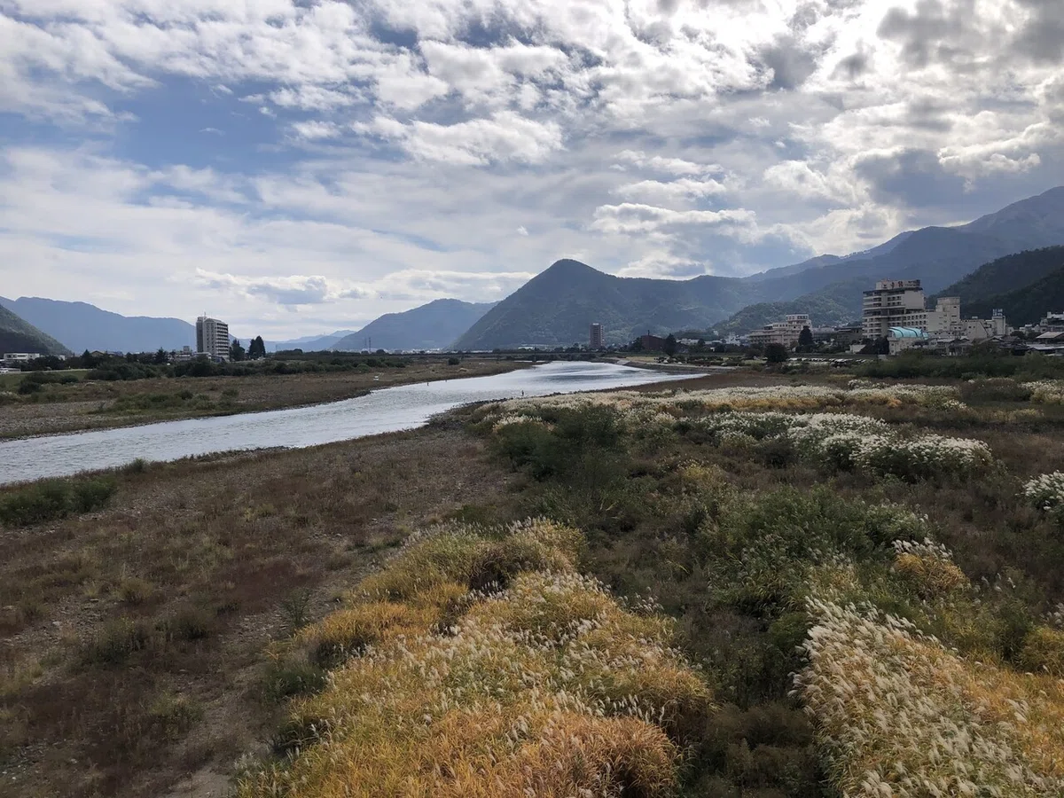 画像14