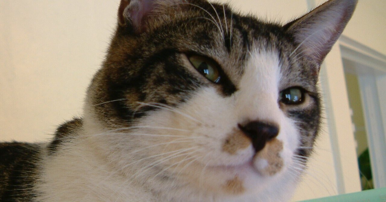 ドゥーラとしての生き方｜つるかわの助産師