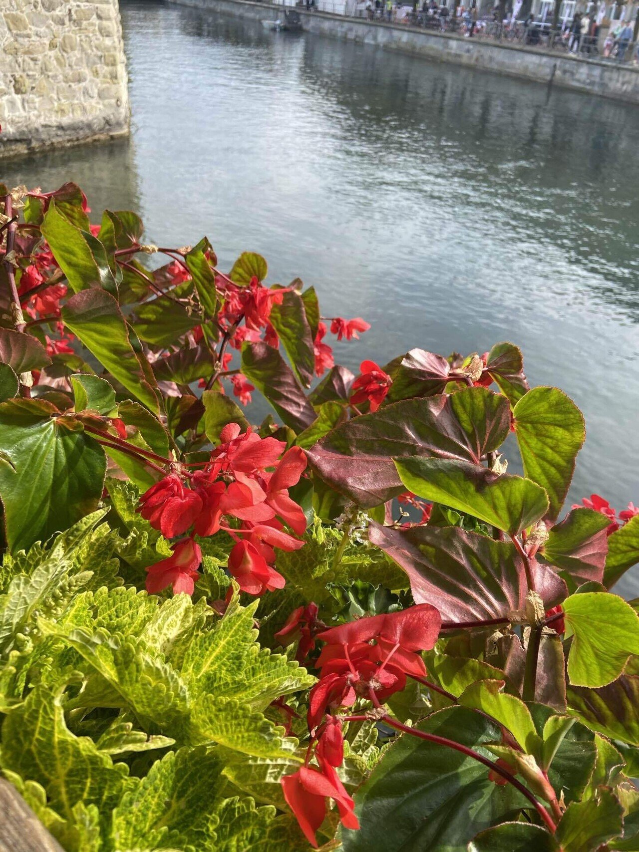 s1014501 鈴木茂 画家 絵画 油絵 作品 ルツェルン湖 スイス インテリア