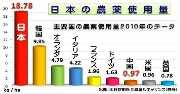 画像41