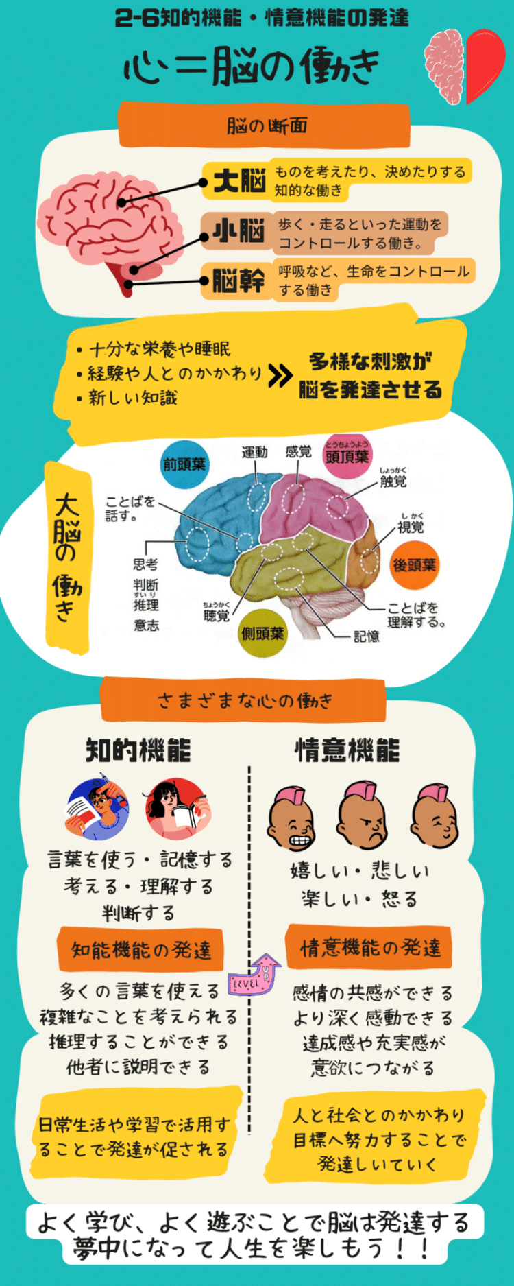 心とは脳の働きのことである。大脳＝考える（ヒトの脳）、中脳＝感情（ネコの脳）、脳幹＝生命維持（蛇の脳）と呼ばれる。イジメや虐待などは大脳と中脳の働きを停止させ、脳幹を弱らせる。つまりイジメは人から生きる意欲を奪う。逆に好きなことに夢中になっているときは、脳が活性化されている状態で発達を促す。また、好きなことを通じて多くの人と関わり、社会と繫がることで社会性を身につけることもできる。よく学び、よく遊ぼう。夢中になった経験の数だけ人は成長できる。