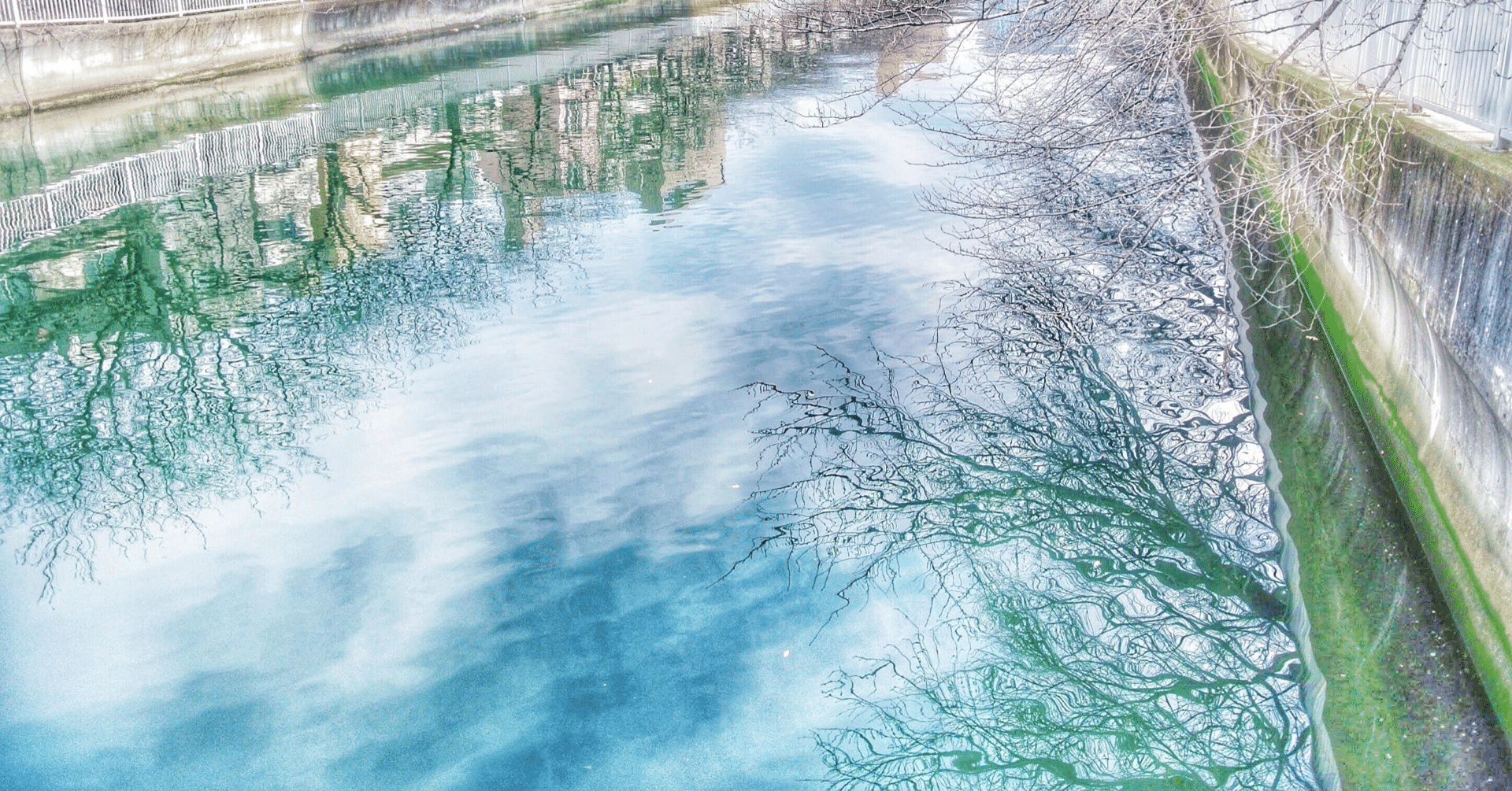 キリング ミー ソフトリー 小説 13 蒼い春 彩生透 Note