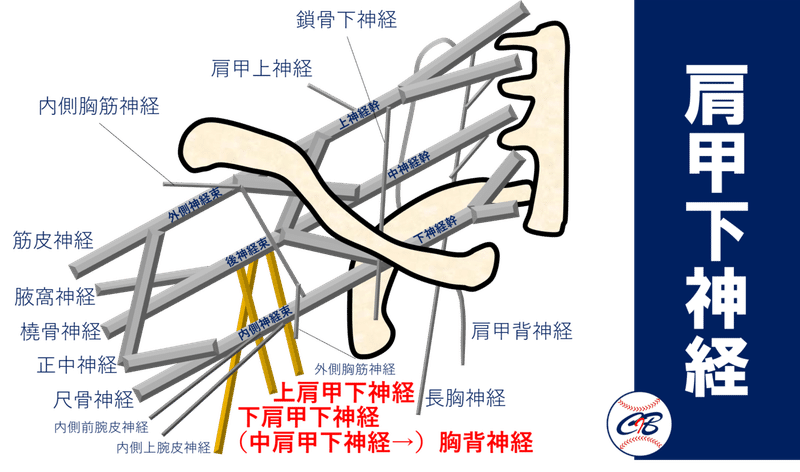 図7