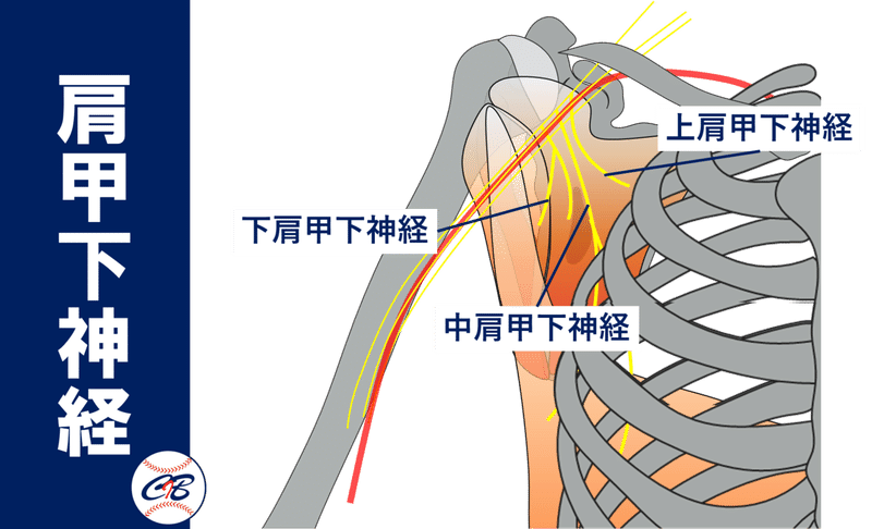 図8