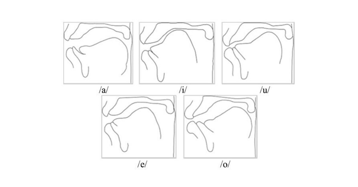 原蒙古語の母音体系についての研究 蒙古語比較音韻論研究 モンゴル語 日本語を研究する (5): 自然音類、その前に｜黒木 邦彦