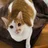 ニャンコにゃん(ジュンジュ)