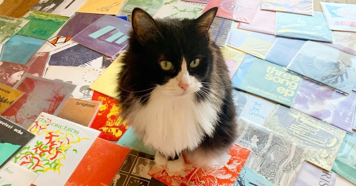 Sarah Recordsについて vol.5 言葉にできない好きな気持ち by 長井雅子