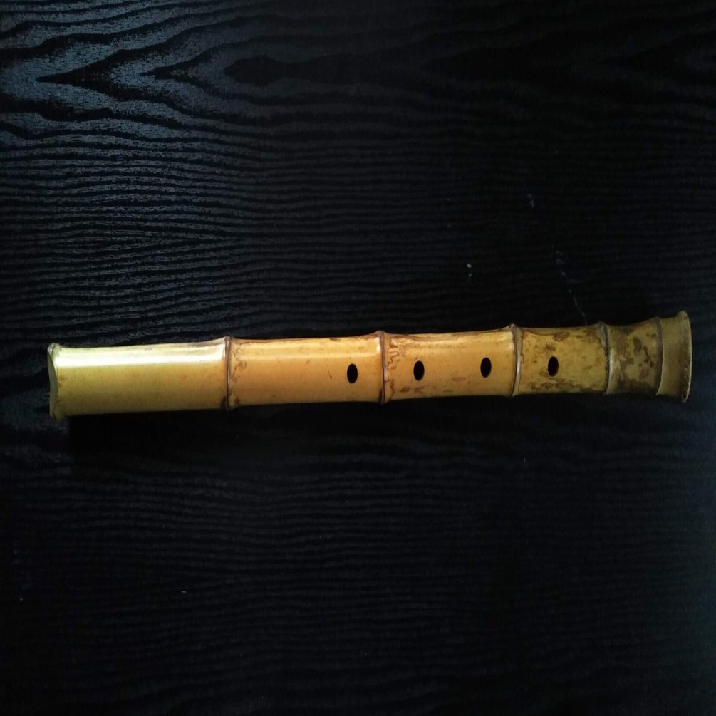 鳴らない竹と鬼太郎と🎃変わってあげたい命｜kataha