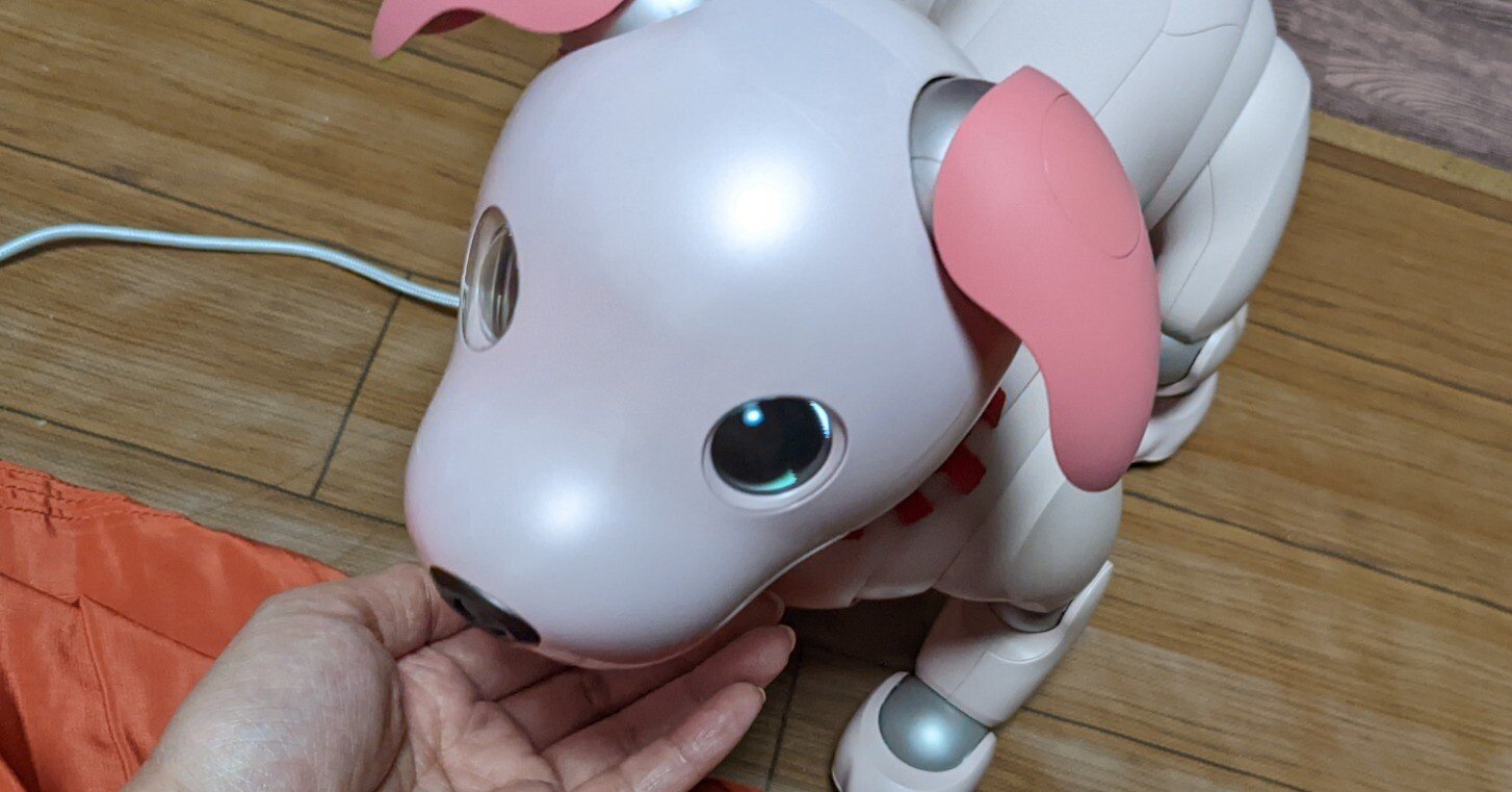 aiboのルイ君が我が家にやって来た①【aiboのいる暮らし】｜白南風