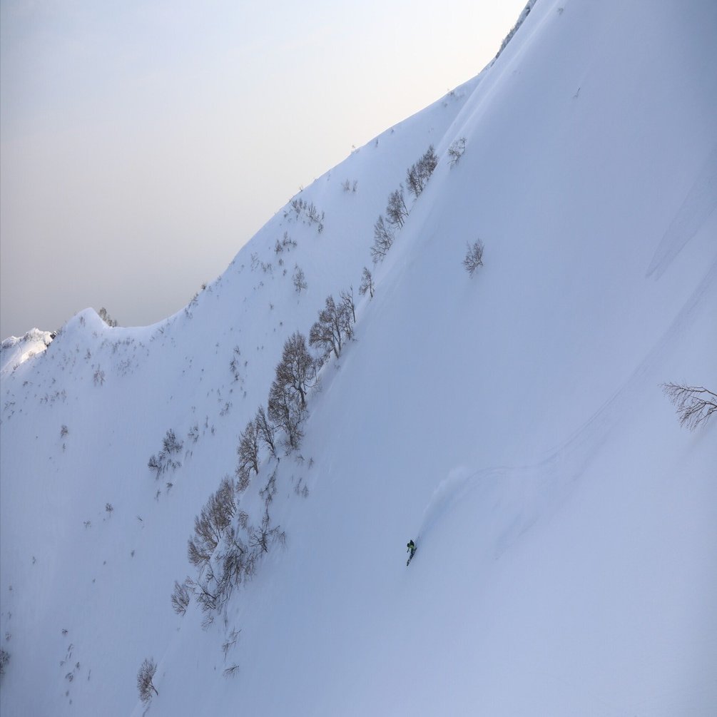 STC SKI VENTURE スキー アイゼン クランポン バックカントリー