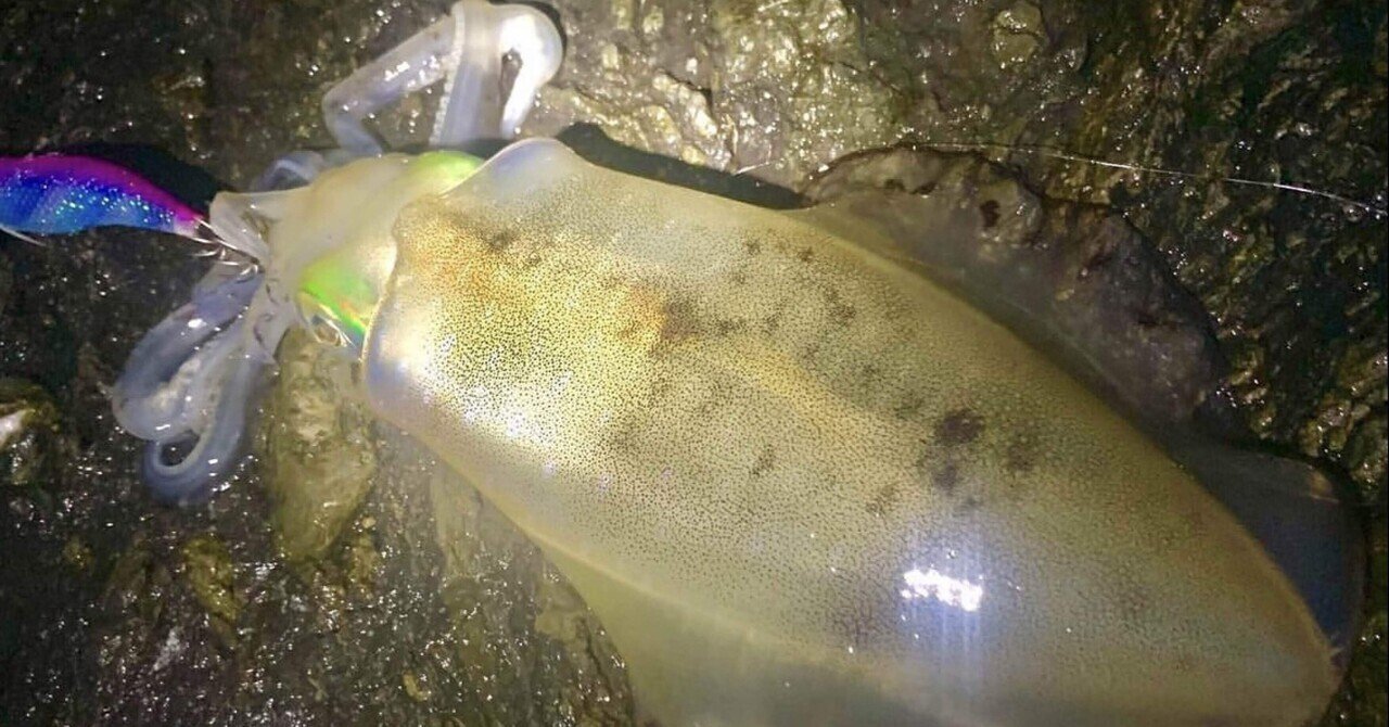 Ufceqhh7n51ggm Ufceqhh7n51ggm